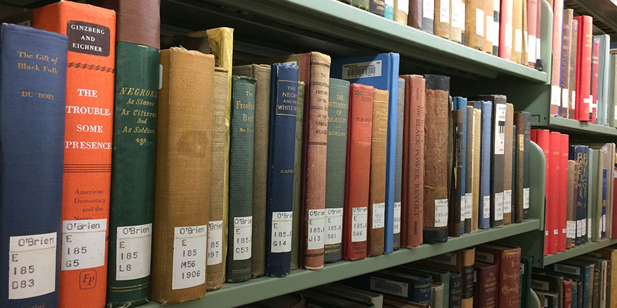 Close-up photograph of books sitting on a book shelf.