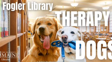 Fogler Library poster: therapy dogs in reading room, golden retriever panting and white lab holding blue leash, with “Therapy Dogs” text and UMaine Libraries logo.