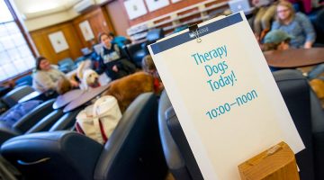 sign for therapy dog visits