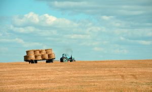 farming hay