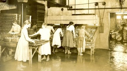 Women in Factory