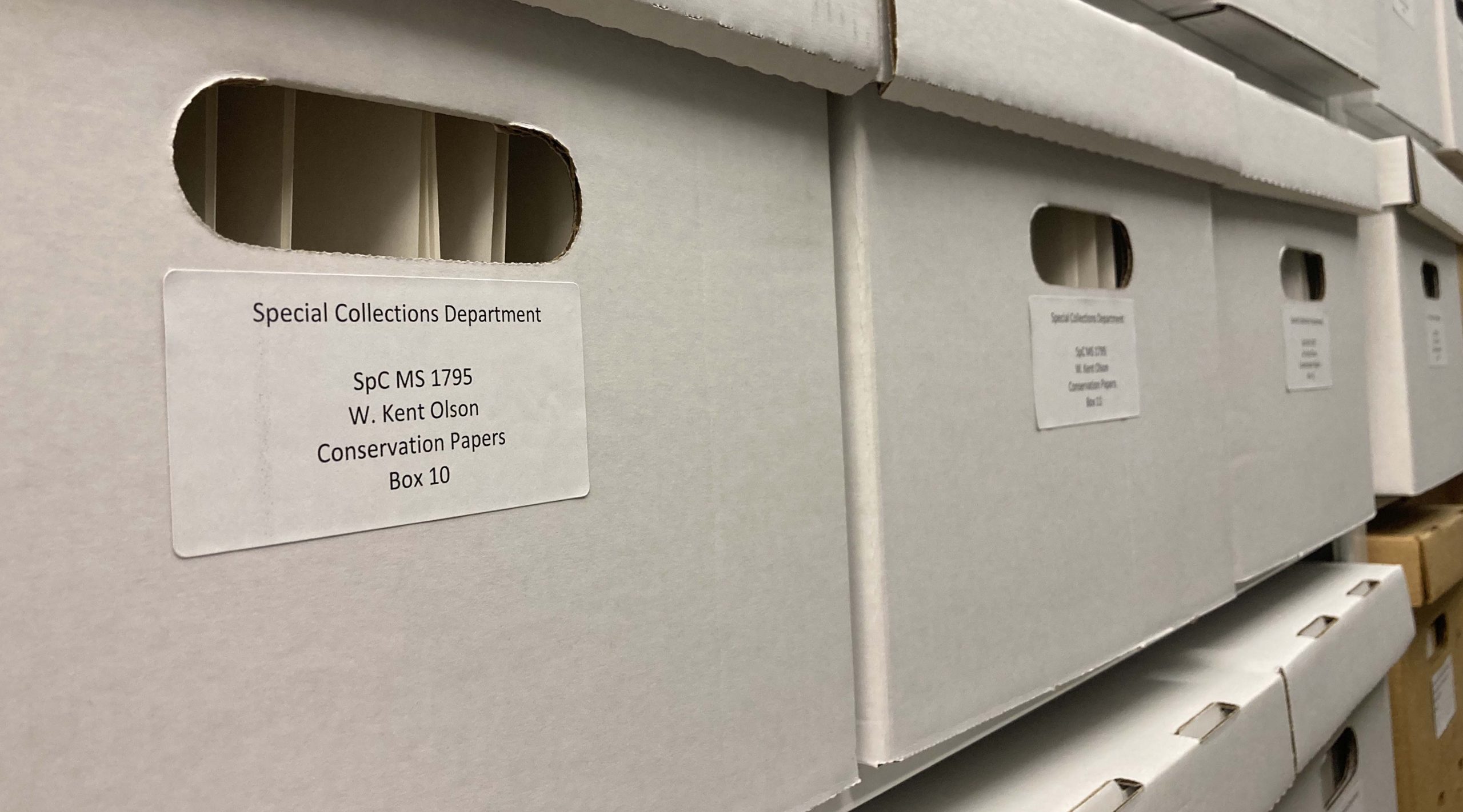 Boxes of Ken Olson Papers on shelves in Special Collections